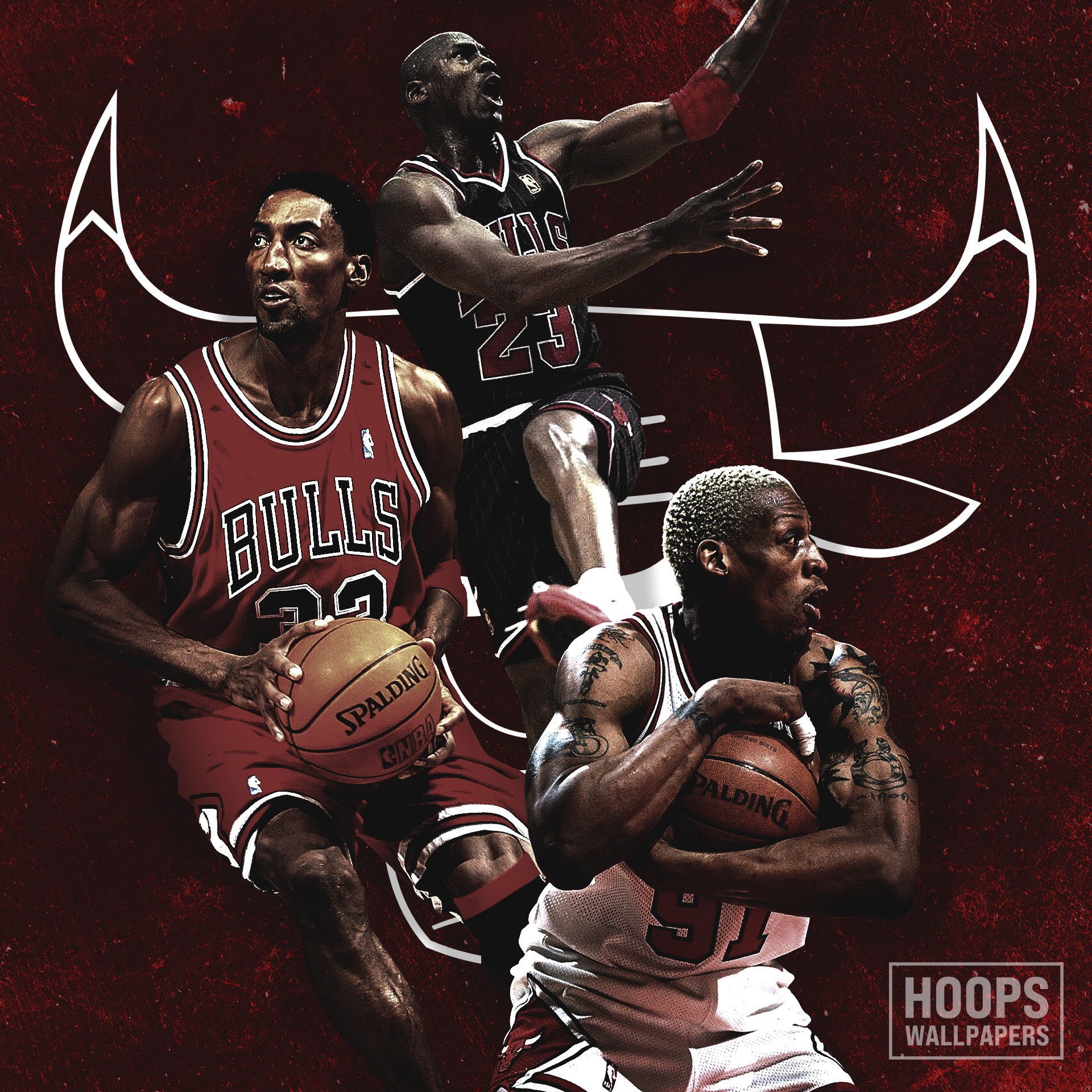 HD wallpaper: NBA, sports, Scottie Pippen, basketball, Dennis