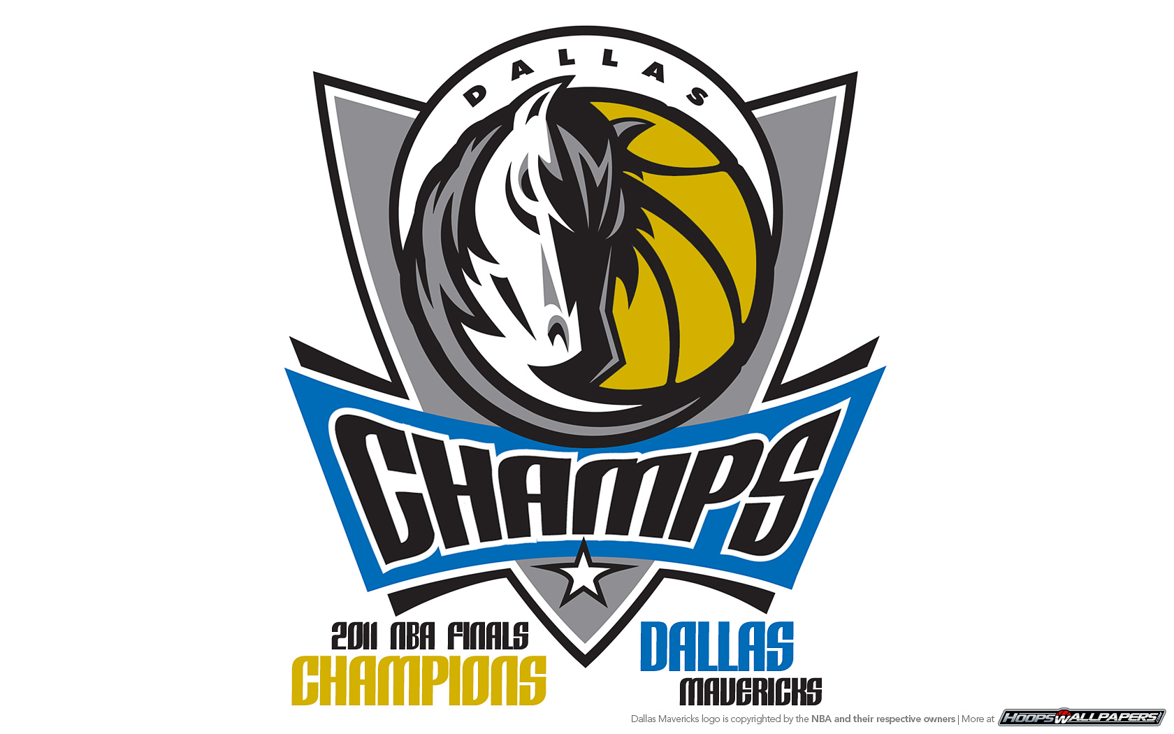 Dallas Mavericks 2011 NBA Champions